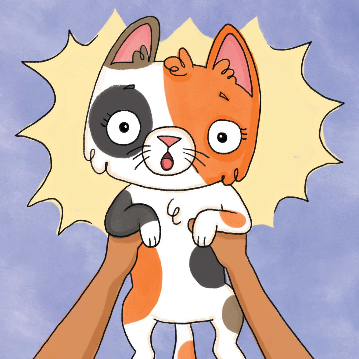 Truyện thai giáo tiếng Anh (Thai giáo ngoại ngữ): Catch That Cat!