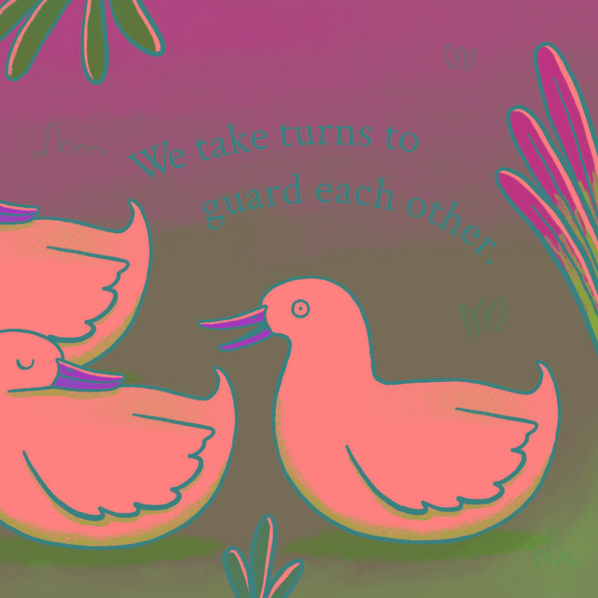 Truyện thai giáo tiếng Anh (Thai giáo ngoại ngữ): How Do You Sleep?