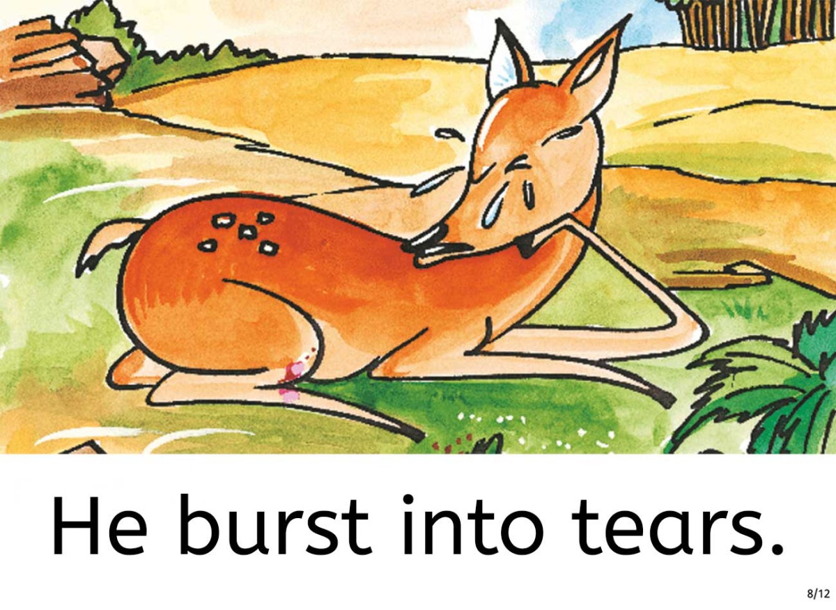 Truyện thai gi&aacute;o tiếng Anh (Thai gi&aacute;o ngoại ngữ): Smile Please!