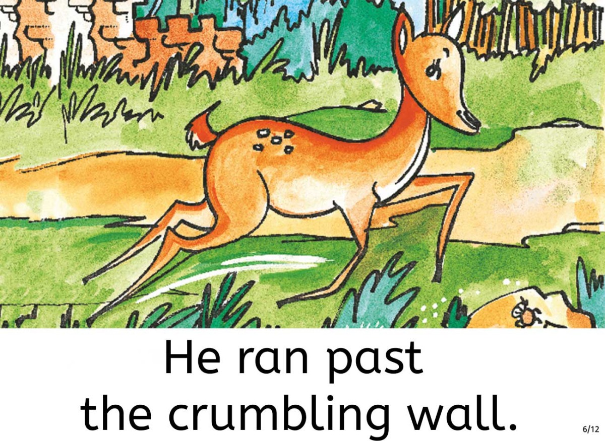 Truyện thai gi&aacute;o tiếng Anh (Thai gi&aacute;o ngoại ngữ): Smile Please!