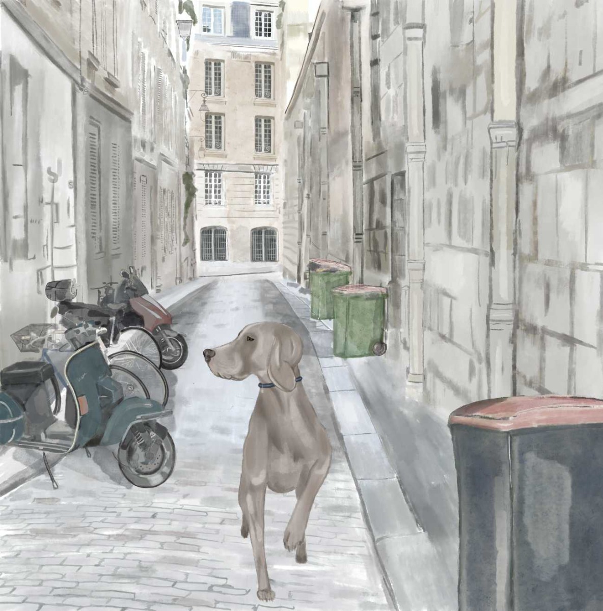 Truyện thai giáo tiếng Anh (Thai giáo ngoại ngữ): A Puppy Lost in Paris