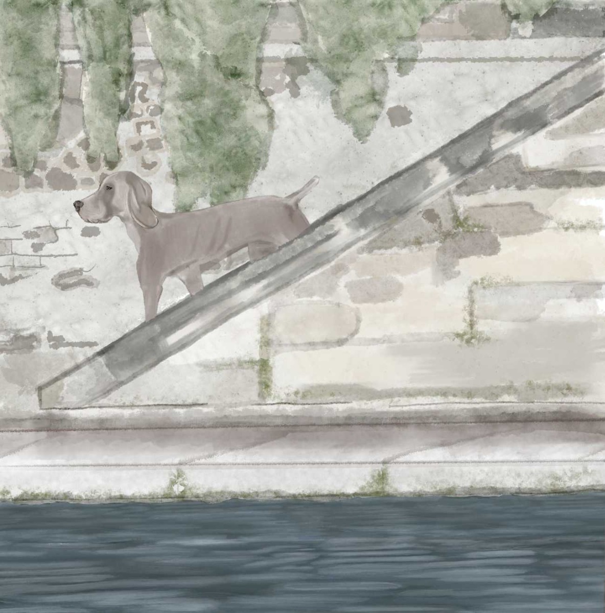 Truyện thai giáo tiếng Anh (Thai giáo ngoại ngữ): A Puppy Lost in Paris