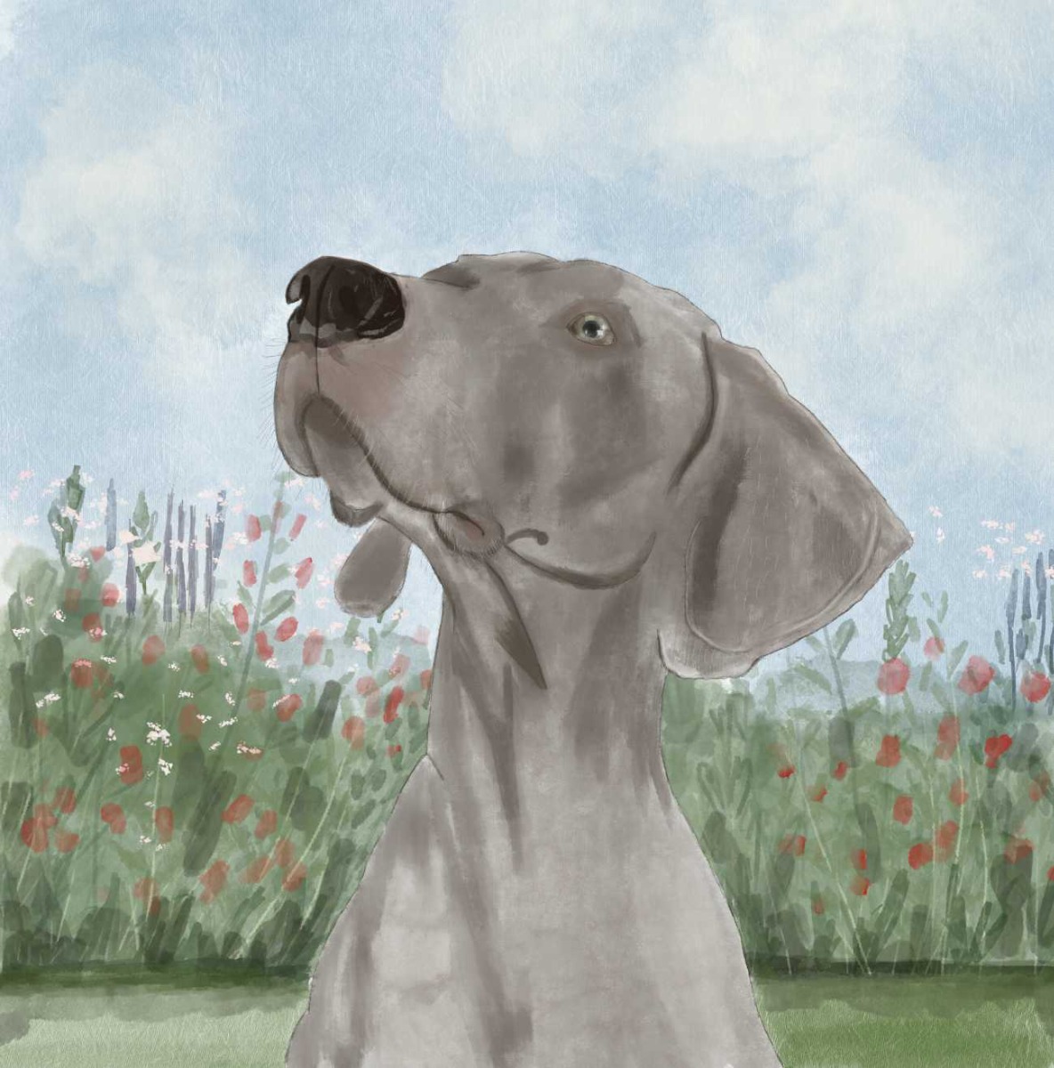 Truyện thai giáo tiếng Anh (Thai giáo ngoại ngữ): A Puppy Lost in Paris