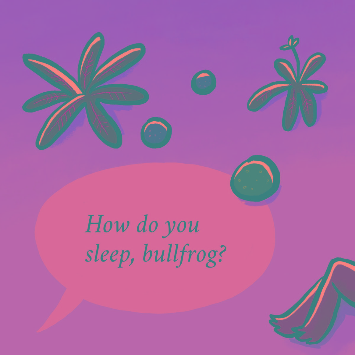 Truyện thai giáo tiếng Anh (Thai giáo ngoại ngữ): How Do You Sleep?