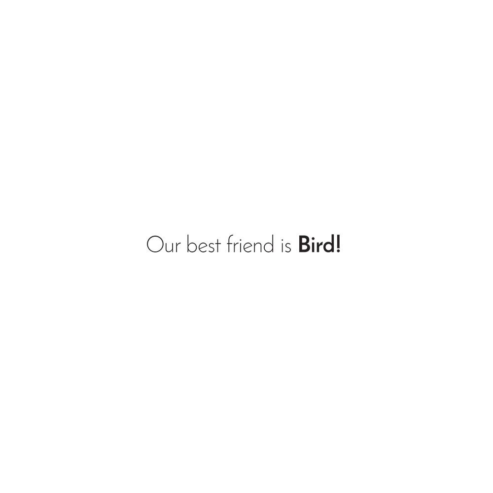 Truyện thai giáo tiếng Anh (Thai giáo ngoại ngữ): Who Is Our Friend?