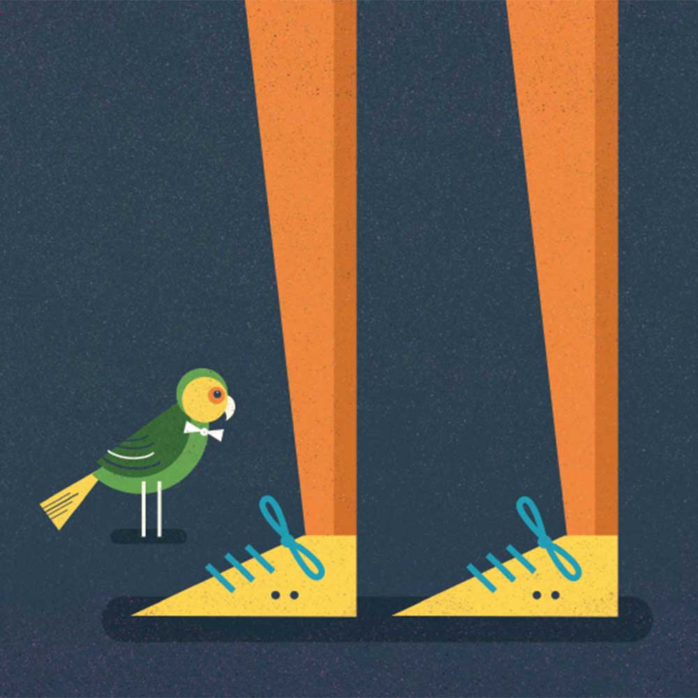 Truyện thai giáo tiếng Anh (Thai giáo ngoại ngữ): Small Bird’s Big Adventure