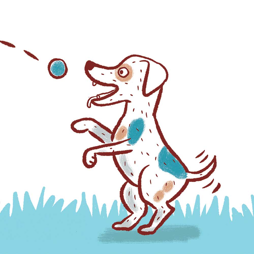 Truyện thai giáo tiếng Anh (Thai giáo ngoại ngữ): Woof, Woof!