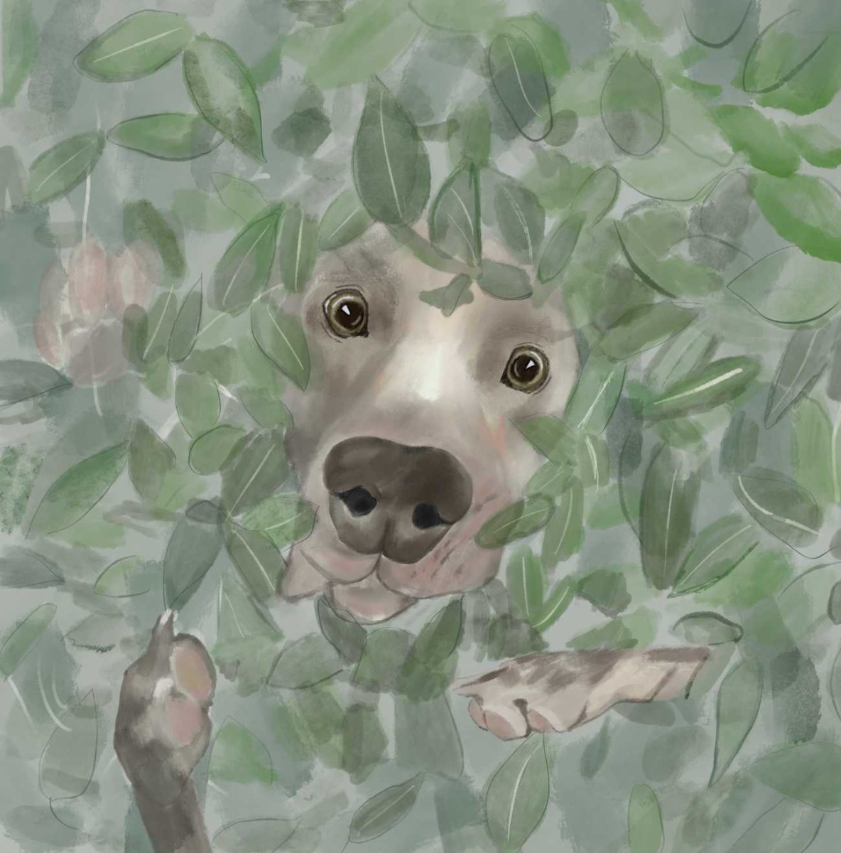 Truyện thai giáo tiếng Anh (Thai giáo ngoại ngữ): A Puppy Lost in Paris