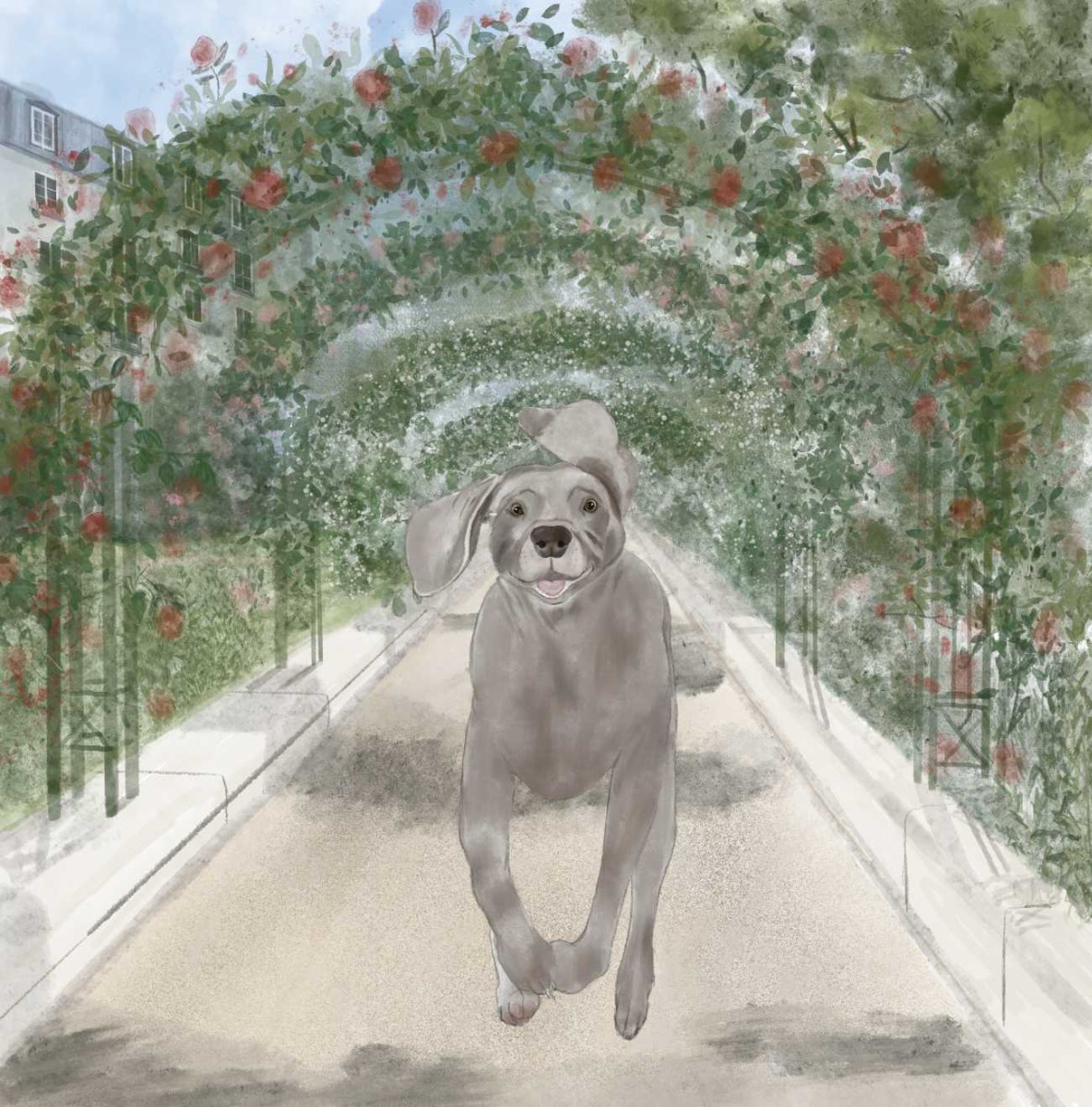 Truyện thai giáo tiếng Anh (Thai giáo ngoại ngữ): A Puppy Lost in Paris