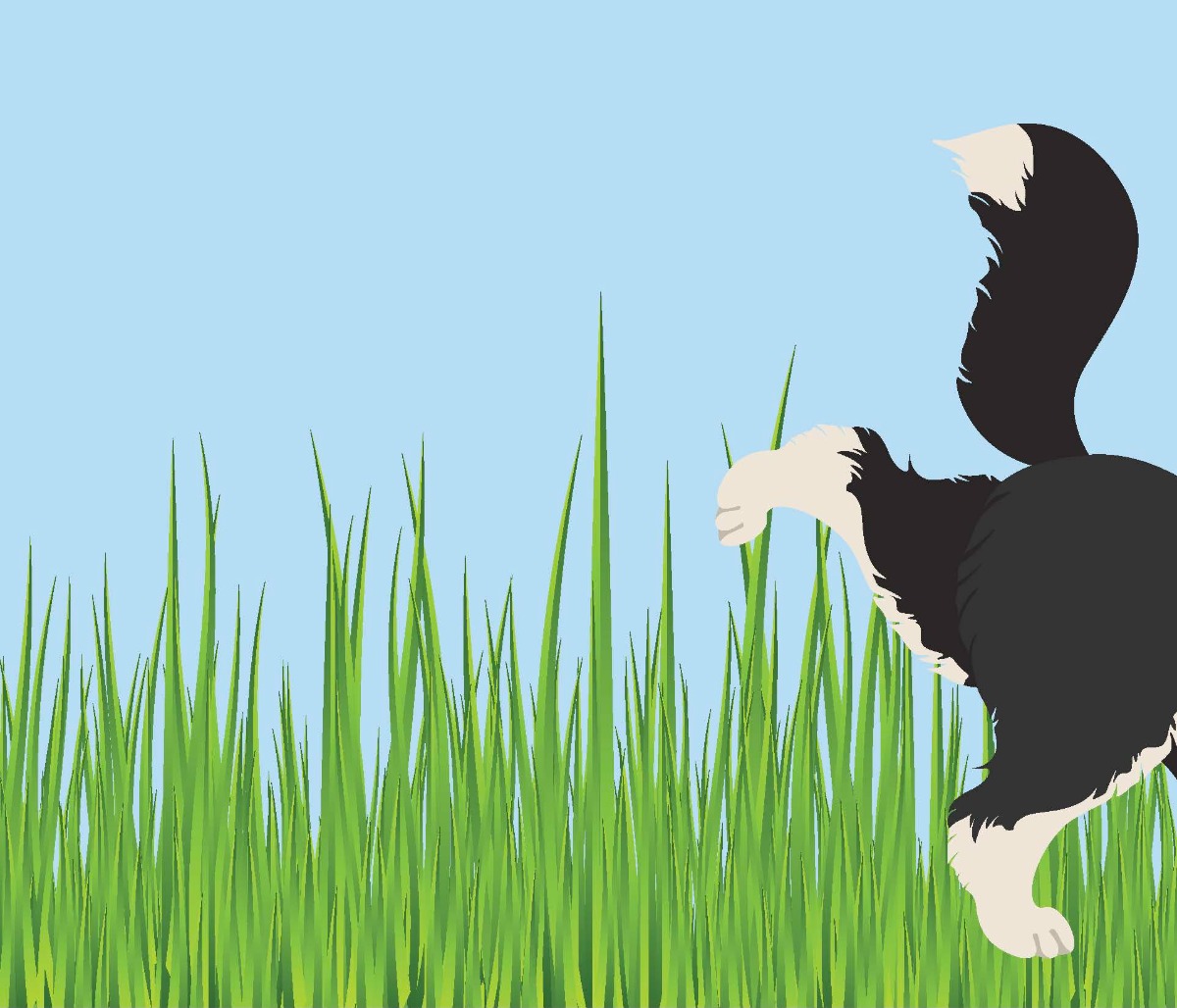 Truyện thai giáo tiếng Anh (Thai giáo ngoại ngữ): Finnbar and the Firefly