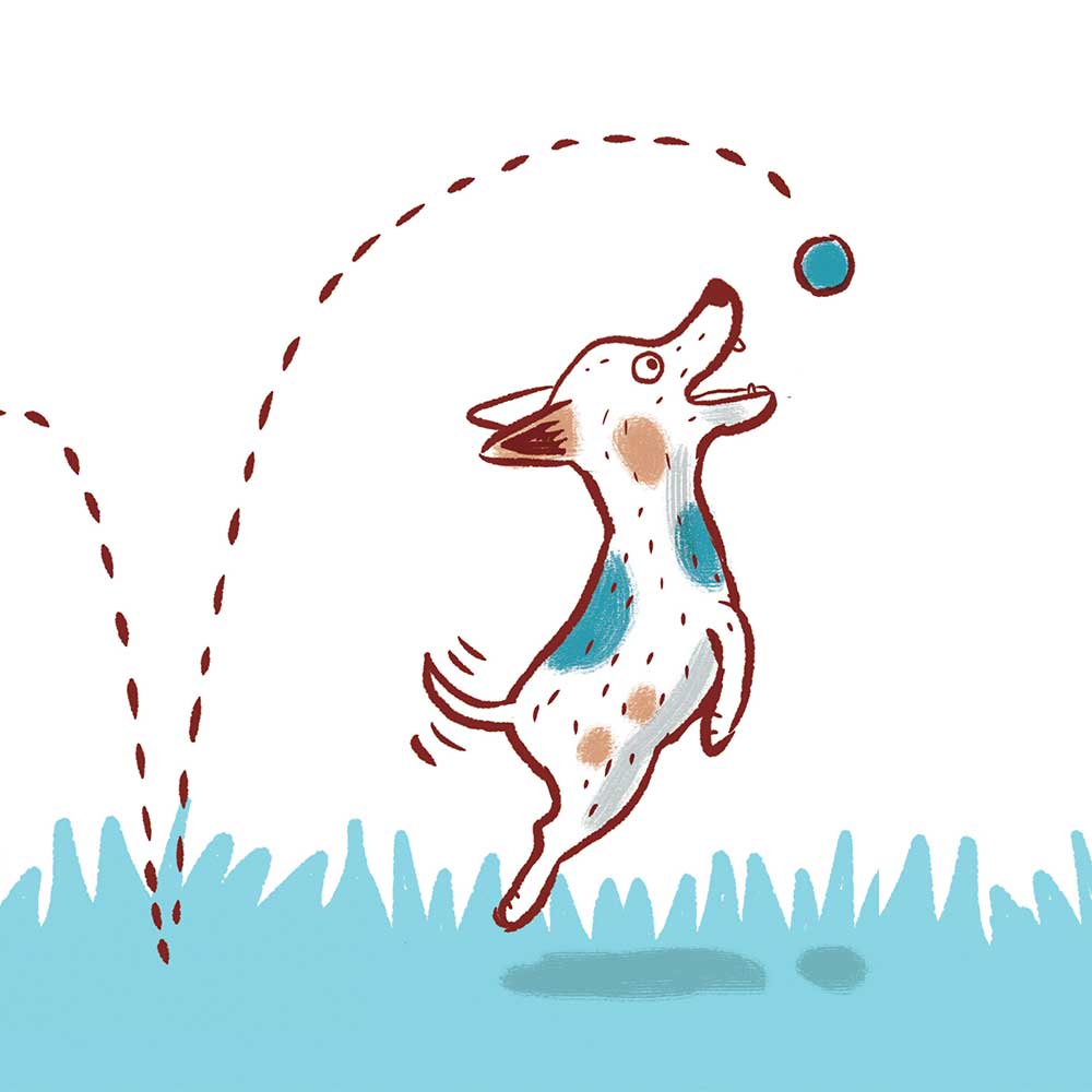 Truyện thai giáo tiếng Anh (Thai giáo ngoại ngữ): Woof, Woof!