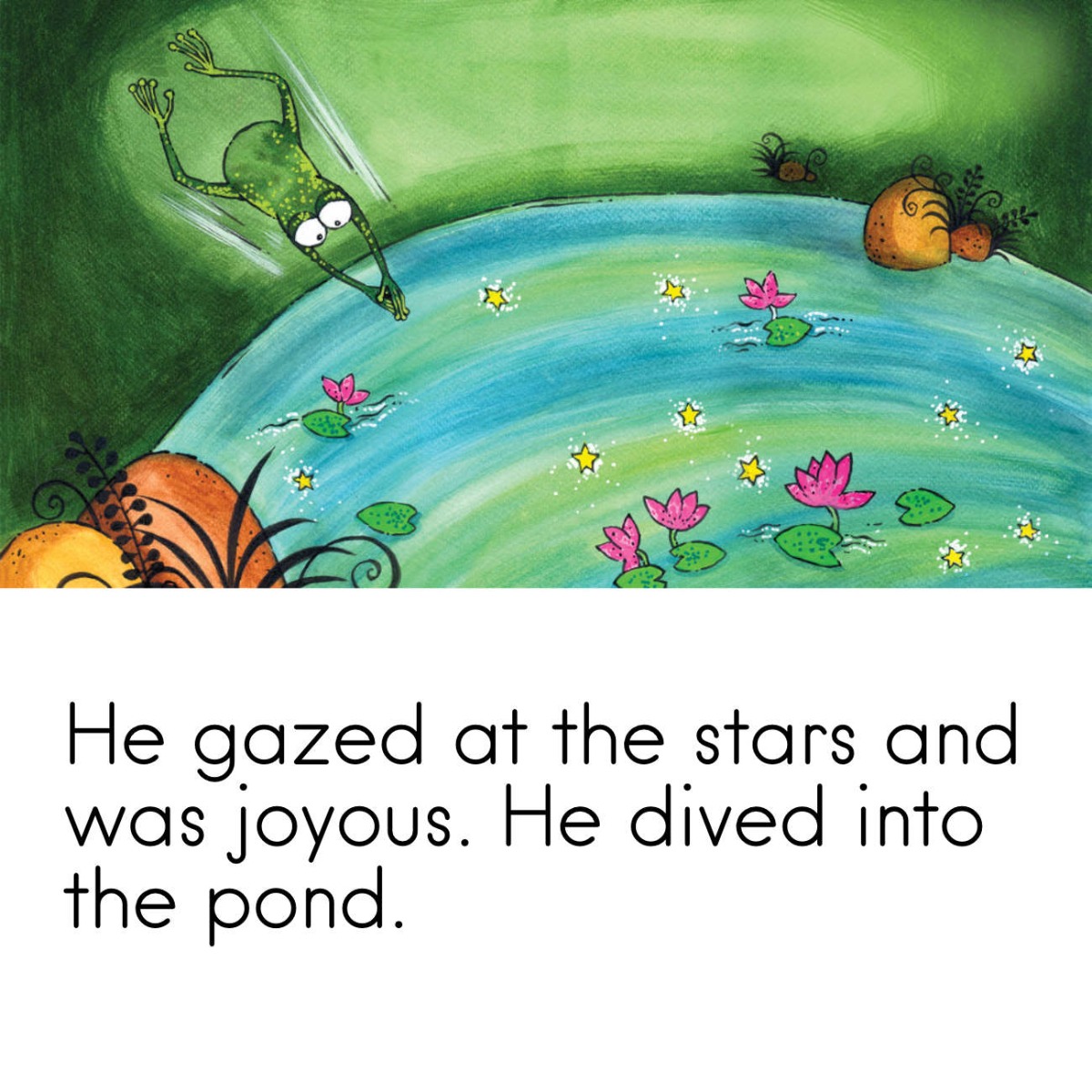 Truyện thai giáo tiếng Anh (Thai giáo ngoại ngữ): Frog’s Starry Wish