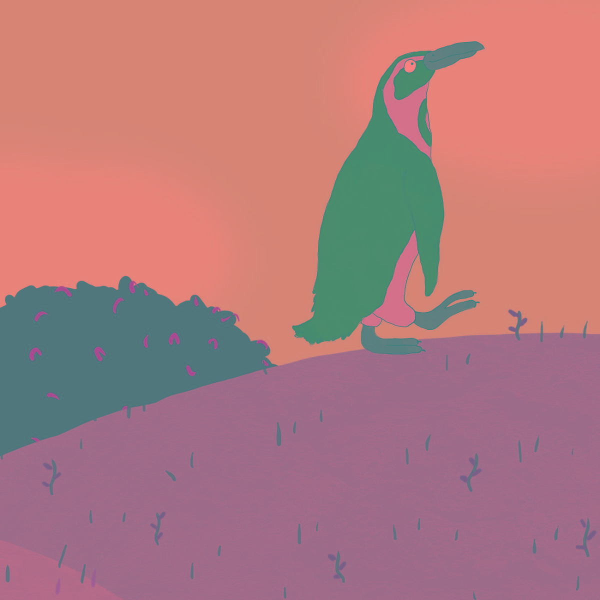 Truyện thai giáo tiếng Anh (Thai giáo ngoại ngữ): Whose egg is this?