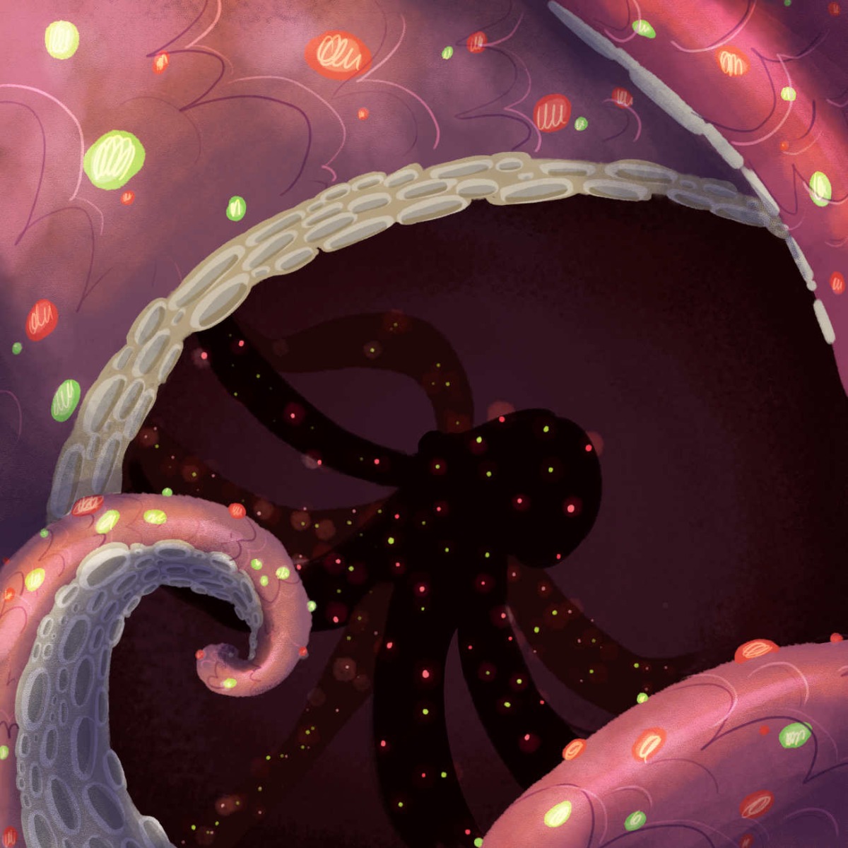 Truyện thai giáo tiếng Anh (Thai giáo ngoại ngữ): Saint Flipperous