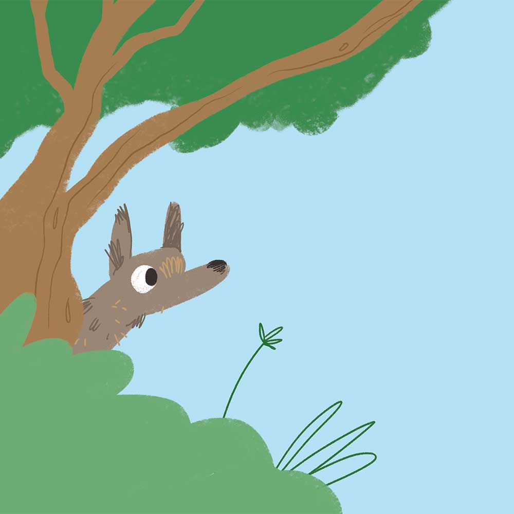 Truyện thai giáo tiếng Anh (Thai giáo ngoại ngữ): What’s At The Park?