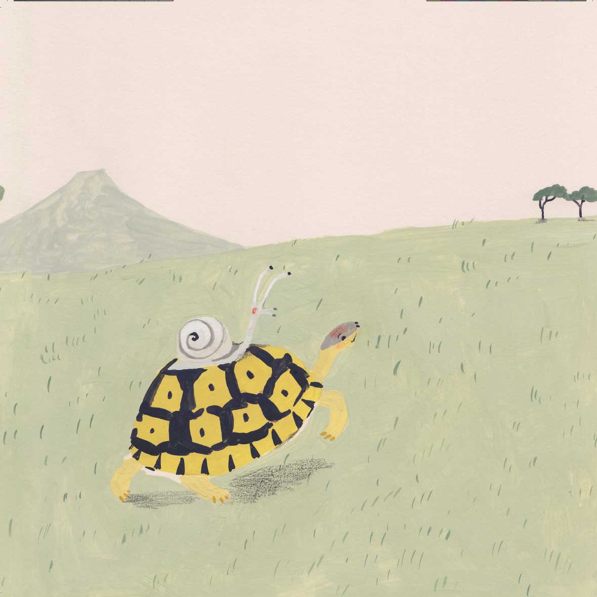 Truyện thai giáo tiếng Anh (Thai giáo ngoại ngữ): Tortoise Finds His Home