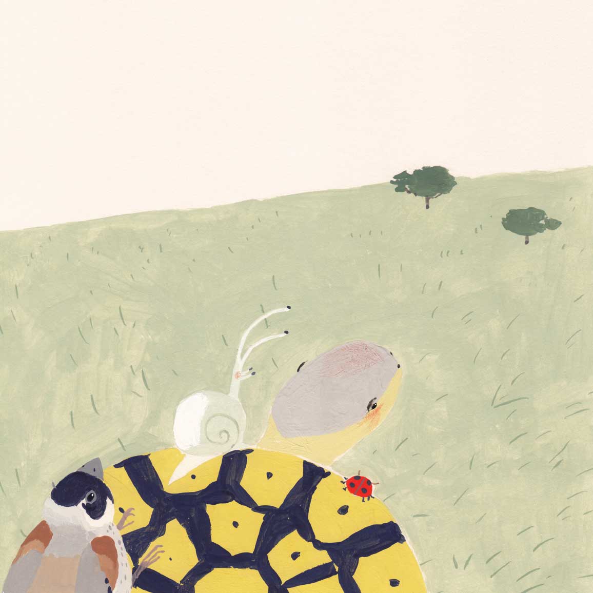 Truyện thai giáo tiếng Anh (Thai giáo ngoại ngữ): Tortoise Finds His Home