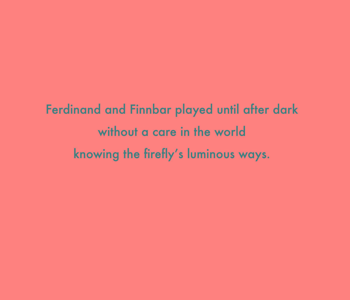 Truyện thai giáo tiếng Anh (Thai giáo ngoại ngữ): Finnbar and the Firefly