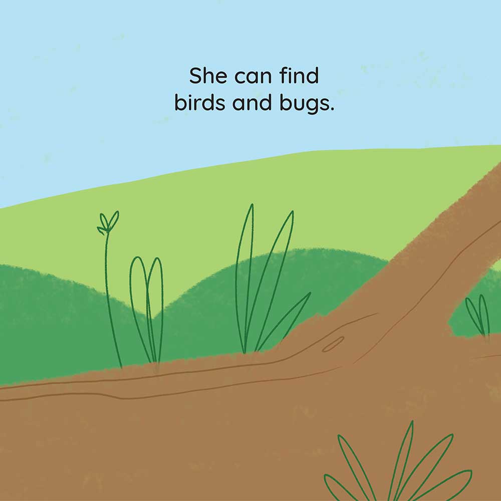 Truyện thai giáo tiếng Anh (Thai giáo ngoại ngữ): What’s At The Park?