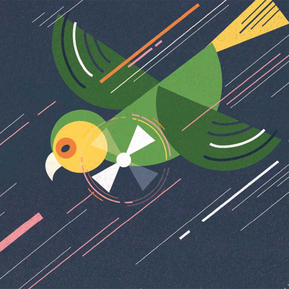 Truyện thai giáo tiếng Anh (Thai giáo ngoại ngữ): Small Bird’s Big Adventure