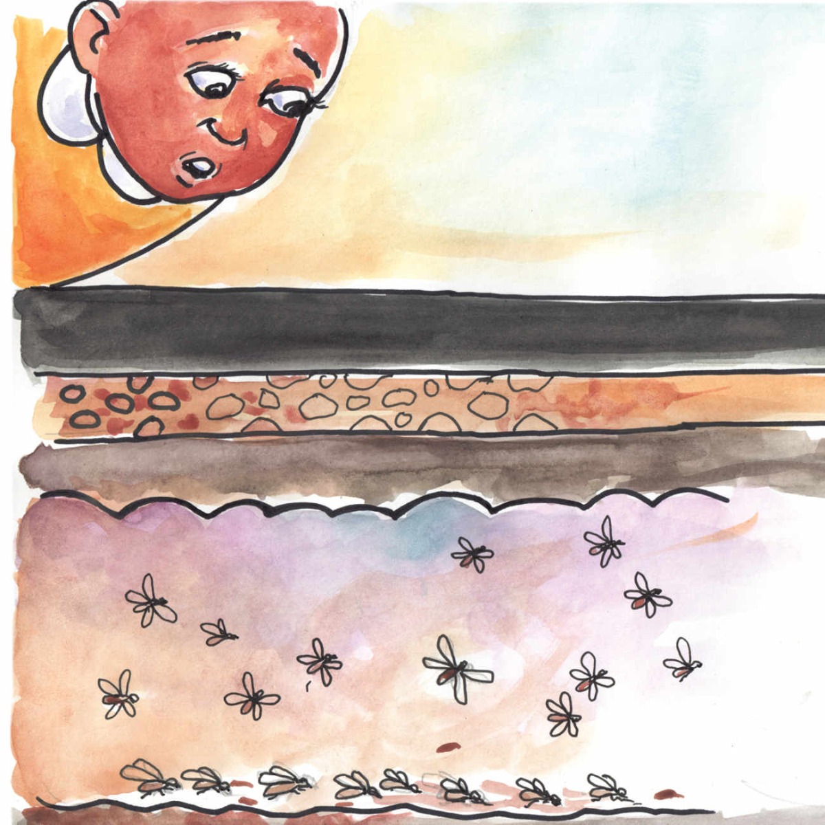 Truyện thai giáo tiếng Anh (Thai giáo ngoại ngữ): The New Road