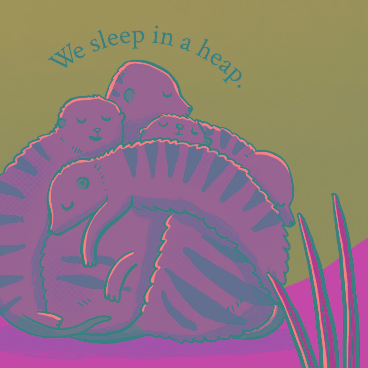 Truyện thai giáo tiếng Anh (Thai giáo ngoại ngữ): How Do You Sleep?