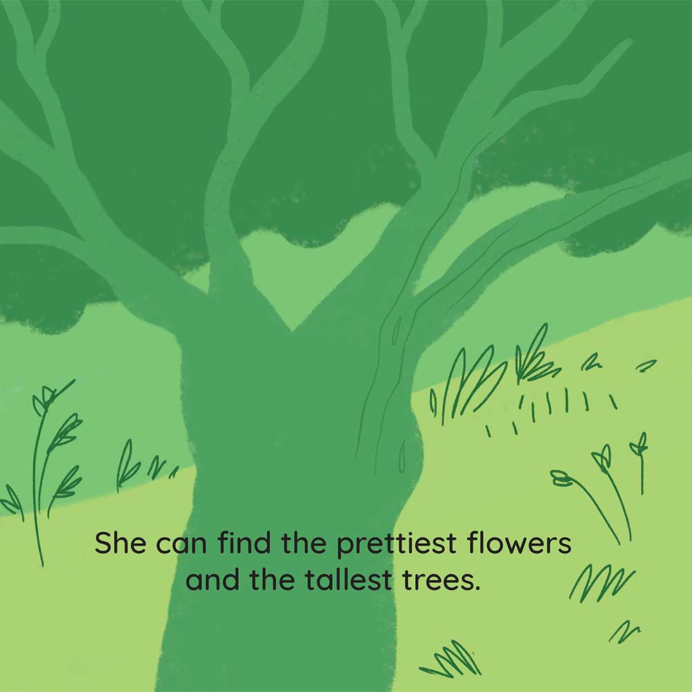 Truyện thai giáo tiếng Anh (Thai giáo ngoại ngữ): What’s At The Park?