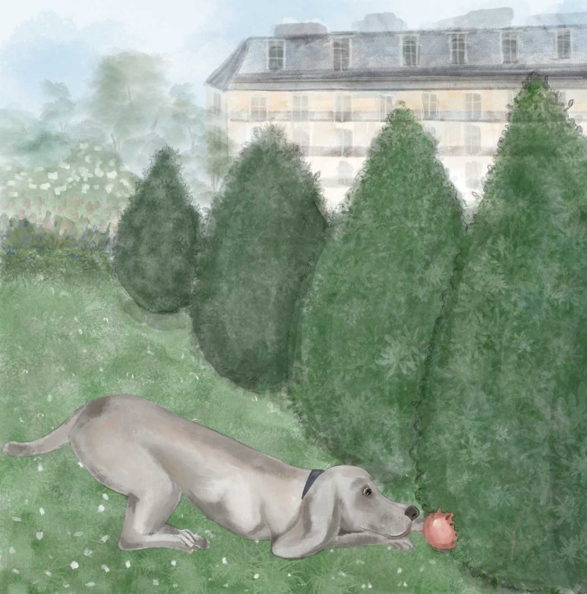 Truyện thai giáo tiếng Anh (Thai giáo ngoại ngữ): A Puppy Lost in Paris