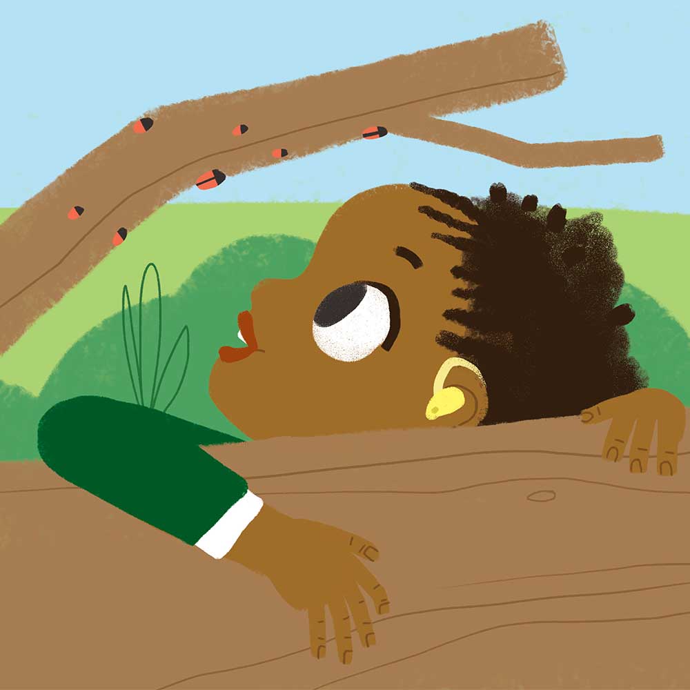 Truyện thai giáo tiếng Anh (Thai giáo ngoại ngữ): What’s At The Park?