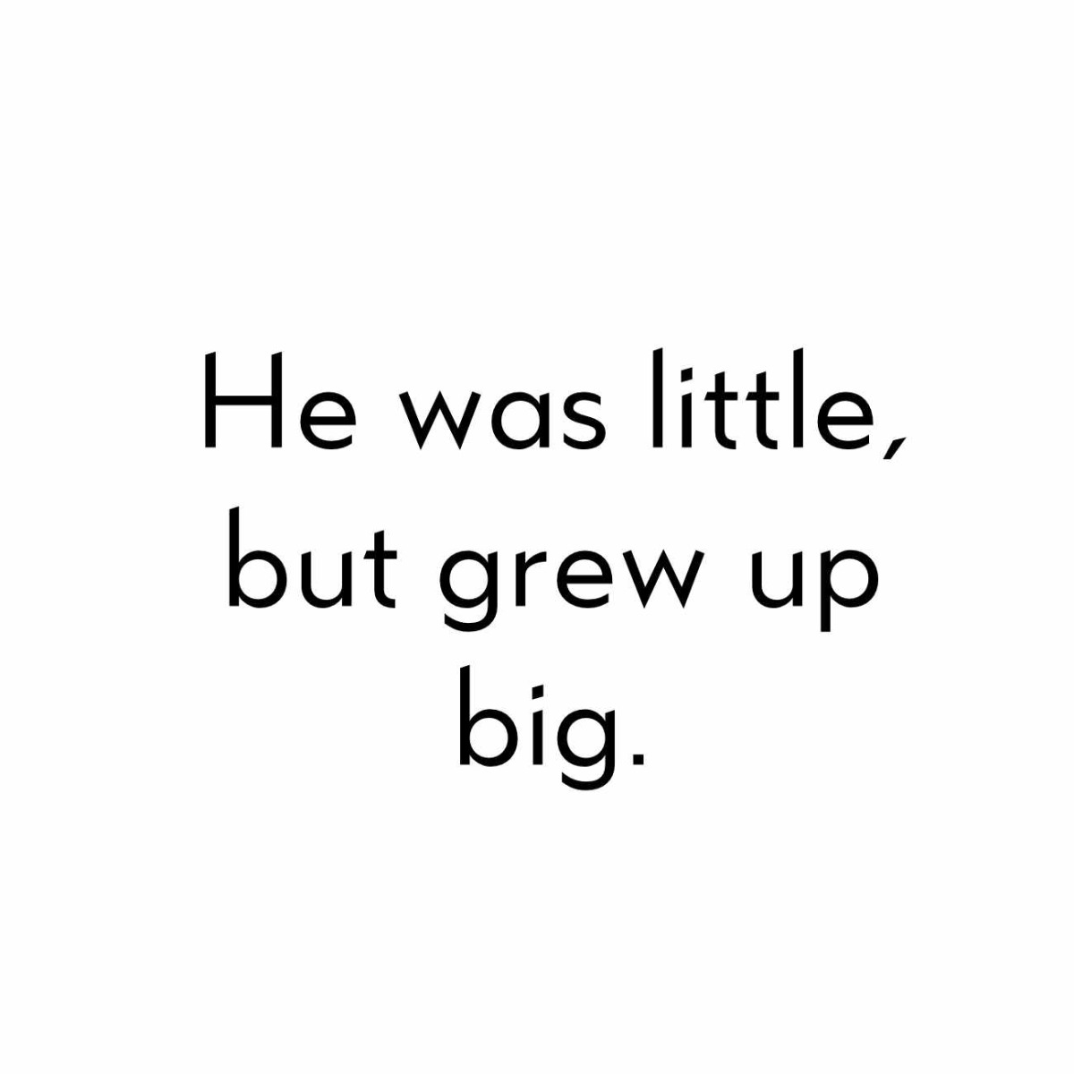 Truyện thai giáo tiếng Anh (Thai giáo ngoại ngữ): The Big Pink Pig