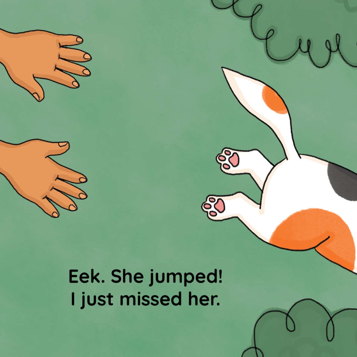 Truyện thai giáo tiếng Anh (Thai giáo ngoại ngữ): Catch That Cat!