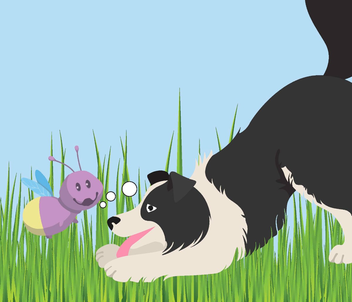 Truyện thai giáo tiếng Anh (Thai giáo ngoại ngữ): Finnbar and the Firefly