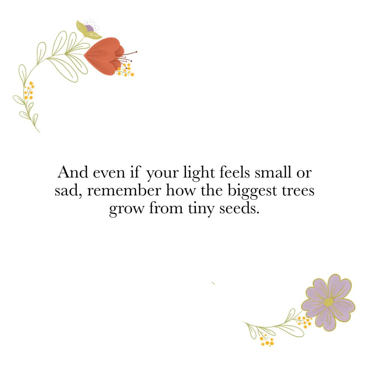 Truyện thai giáo tiếng Anh (Thai giáo ngoại ngữ): Your Magic Light