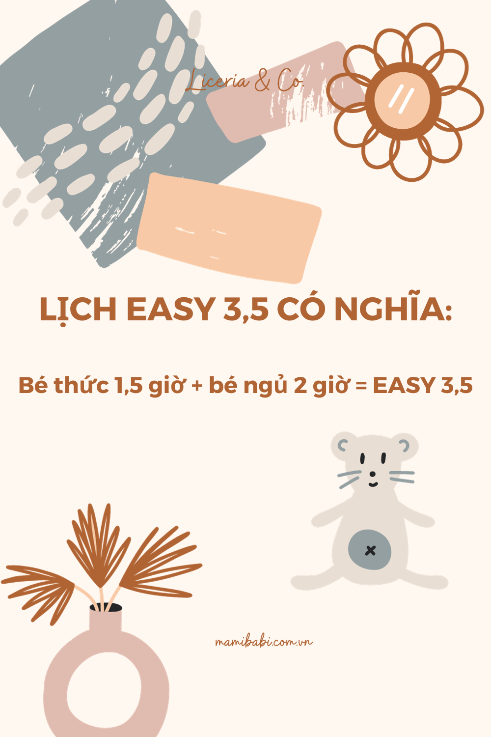 Lịch sinh hoạt EASY 3,5 chi tiết đến từng giờ cho bé 6 – 10 tuần