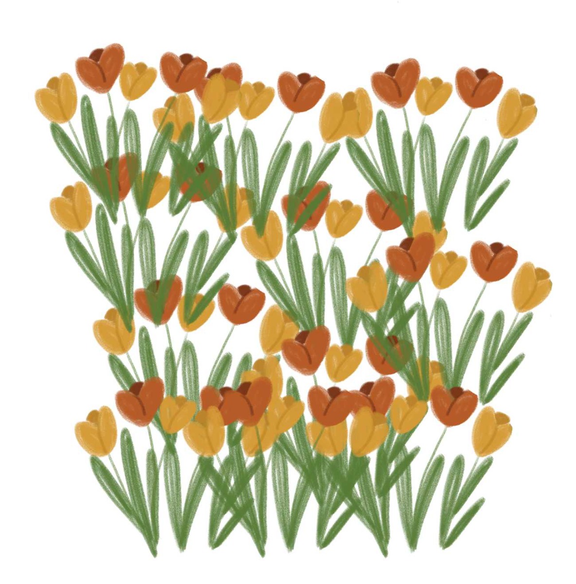 Truyện thai giáo tiếng Anh (Thai giáo ngoại ngữ): Your Magic Light