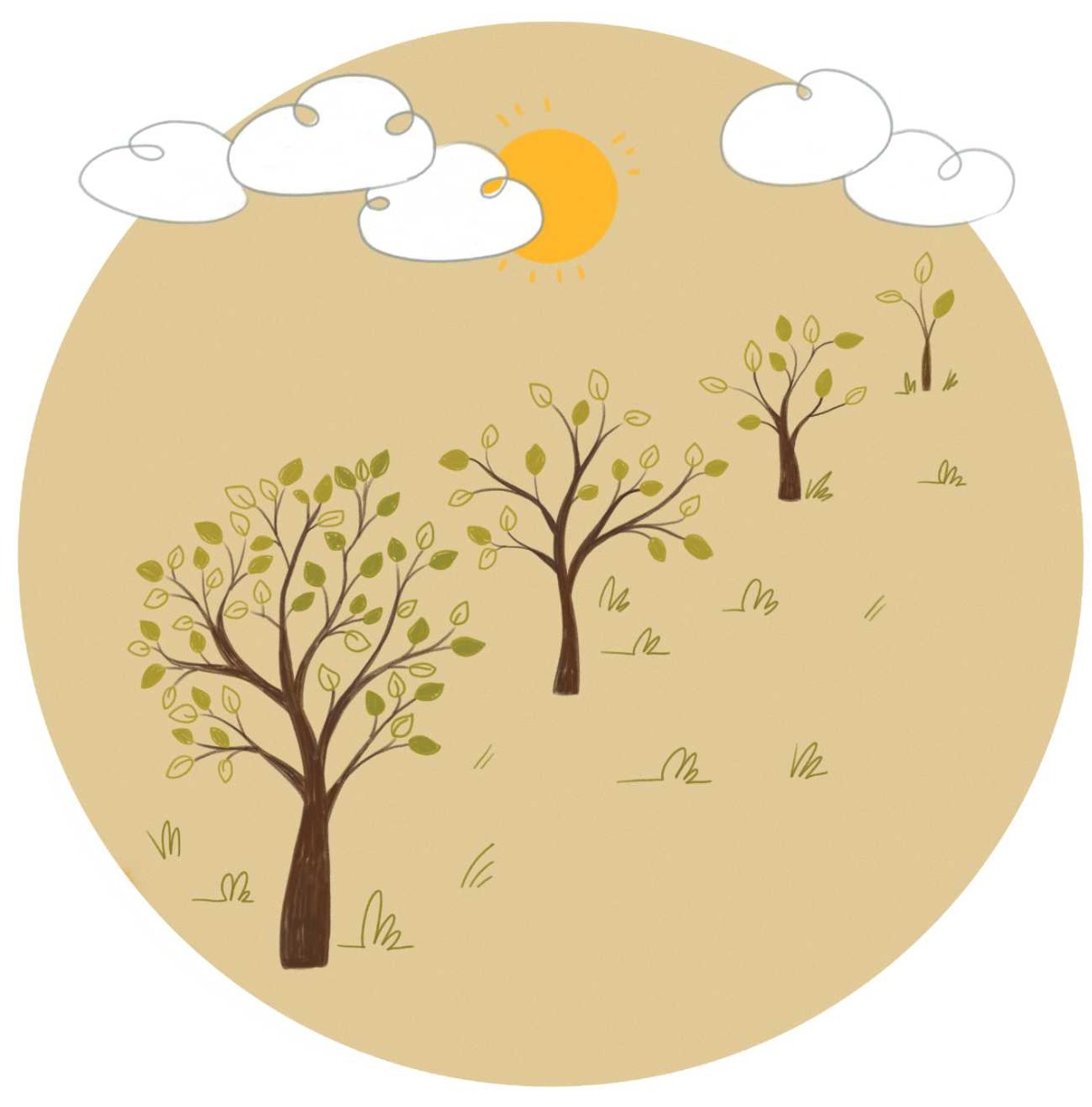 Truyện thai giáo tiếng Anh (Thai giáo ngoại ngữ): Your Magic Light