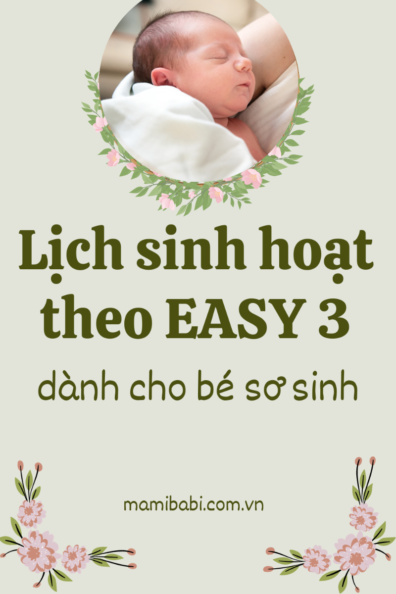 Dưới đây là bài viết chi tiết về mọi vấn đề liên quan đến EASY 3 cho bé 0 - 8 tuần. Mẹ đọc để biết cách luyện chính xác nhất cho bé mẹ nhé https://mamibabi.com.vn/news/2138/lich-sinh-hoat-theo-easy-3-lich-dau-doi-giup-be-so-sinh-an-ngu-tot-het-quay-khoc 

Cùng là EASY 3 nhưng mỗi em bé sẽ áp dụng một cách khác nhau phù hợp với sinh lý của bé và điều kiện của gia đình. Nếu mẹ cần hỗ trợ về việc luyện EASY 3 cho bé, mẹ có thể để lại câu hỏi tại mục Tư vấn EASY https://mamibabi.com.vn/community?g=15 
----------------------------------------
Mamibabi là ứng dụng thai giáo và luyện EASY duy nhất trên thị trường cho phép thời gian sử dụng trọn đời. Mẹ chỉ cần trả phí một lần duy nhất và nhận được các quyền lợi sau: 
+ Được tư vấn 1:1 mọi câu hỏi về mang thai và nuôi con https://mamibabi.com.vn/community 
+ Học 80 khóa học ngắn về mang thai https://mamibabi.com.vn/khoa-hoc?mode=1
+ Học 40 khóa học ngắn về chăm sóc trẻ sơ sinh và nuôi con https://mamibabi.com.vn/khoa-hoc?mode=2