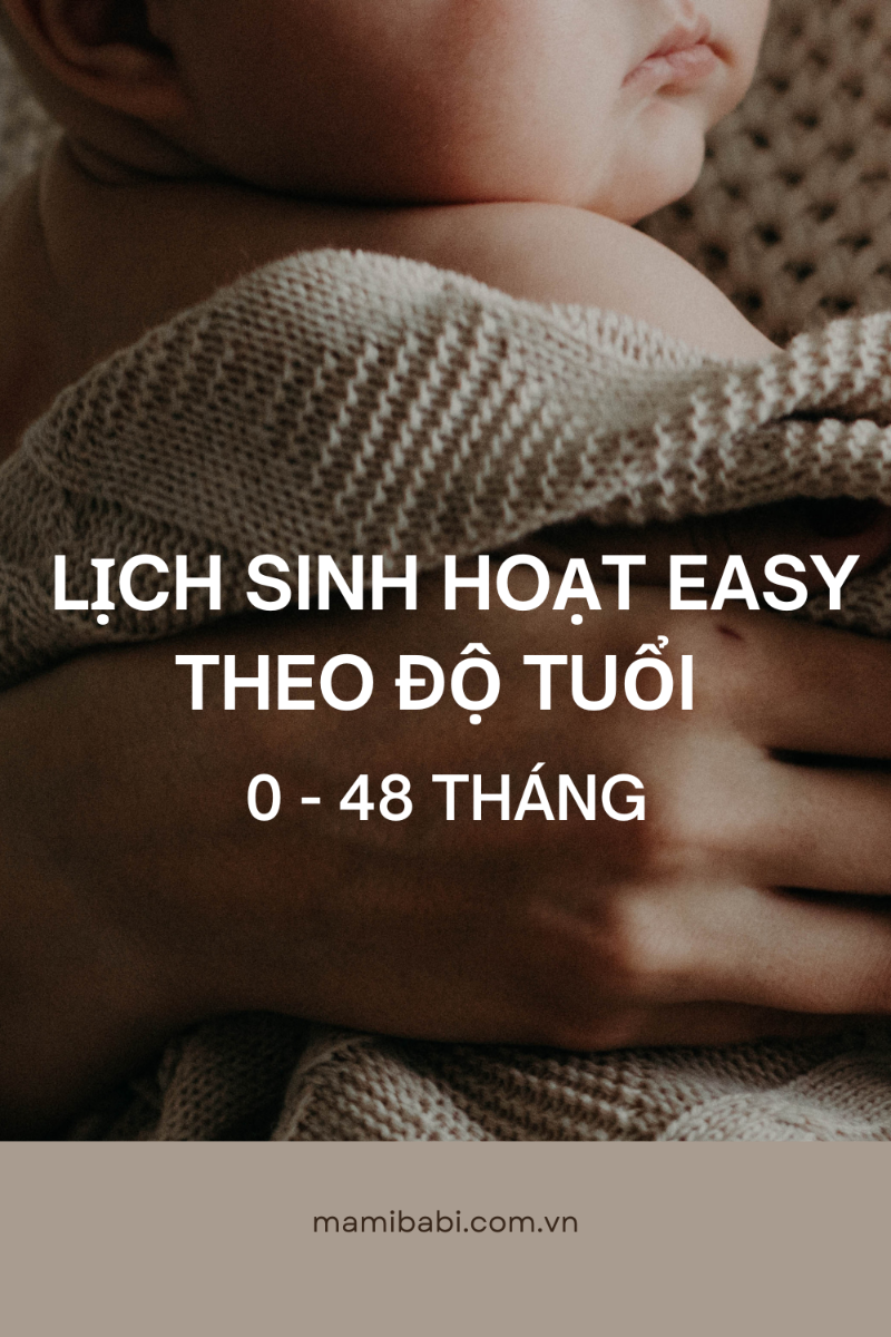 Lịch sinh hoạt EASY cho bé gồm 5 lịch cơ bản: 

EASY 3 cho bé 0 và 1 tháng
EASY 3,5 cho bé 2 tháng
EASY 4 cho bé 3 và 4 tháng
EASY 2-3-4 cho bé 5 – 10 tháng
EASY 5-6 cho bé 11 tháng trở lên

Trong bài viết dưới đây, Mamibabi đã chia sẻ với mẹ lịch chi tiết cho từng tháng của bé và những điều cần lưu ý khi áp dụng lịch, mẹ có thể xem tại link https://mamibabi.com.vn/news/2130/lich-sinh-hoat-easy-theo-do-tuoi-day-du-nhat-cho-be-tu-0-48-thang

---------------------------------------------

Mamibabi là ứng dụng thai giáo, luyện EASY và giáo dục sớm được xây dựng bởi tác giả Phạm Ngọc Thắng – tác giả cuốn sách “Rủ chồng thai giáo”. Mẹ chỉ cần đăng ký tài khoản VIP Mom và nhận được các quyền lợi sau trong thời gian TRỌN ĐỜI: 

+ Được tư vấn 1:1 mọi câu hỏi về mang thai và nuôi con https://mamibabi.com.vn/community 
+ Học 80 khóa học ngắn về mang thai https://mamibabi.com.vn/khoa-hoc?mode=1
+ Học 40 khóa học ngắn về chăm sóc trẻ sơ sinh và nuôi con https://mamibabi.com.vn/khoa-hoc?mode=2