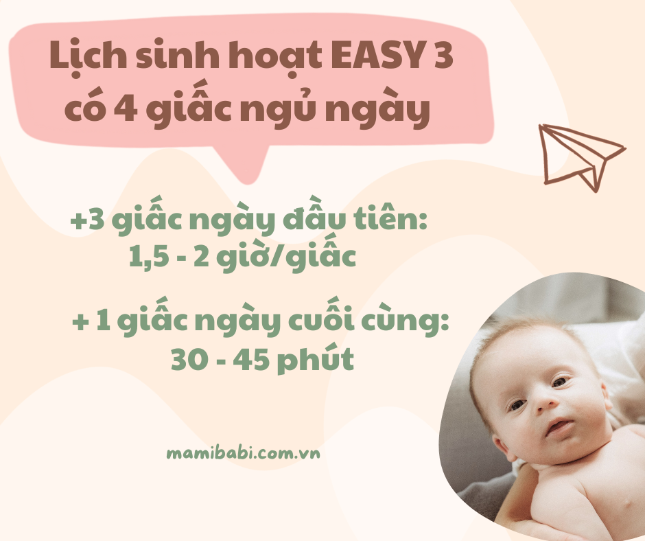 Lịch sinh hoạt theo EASY 3: Lịch “đầu đời” giúp bé sơ sinh ăn ngủ tốt, hết quấy khóc