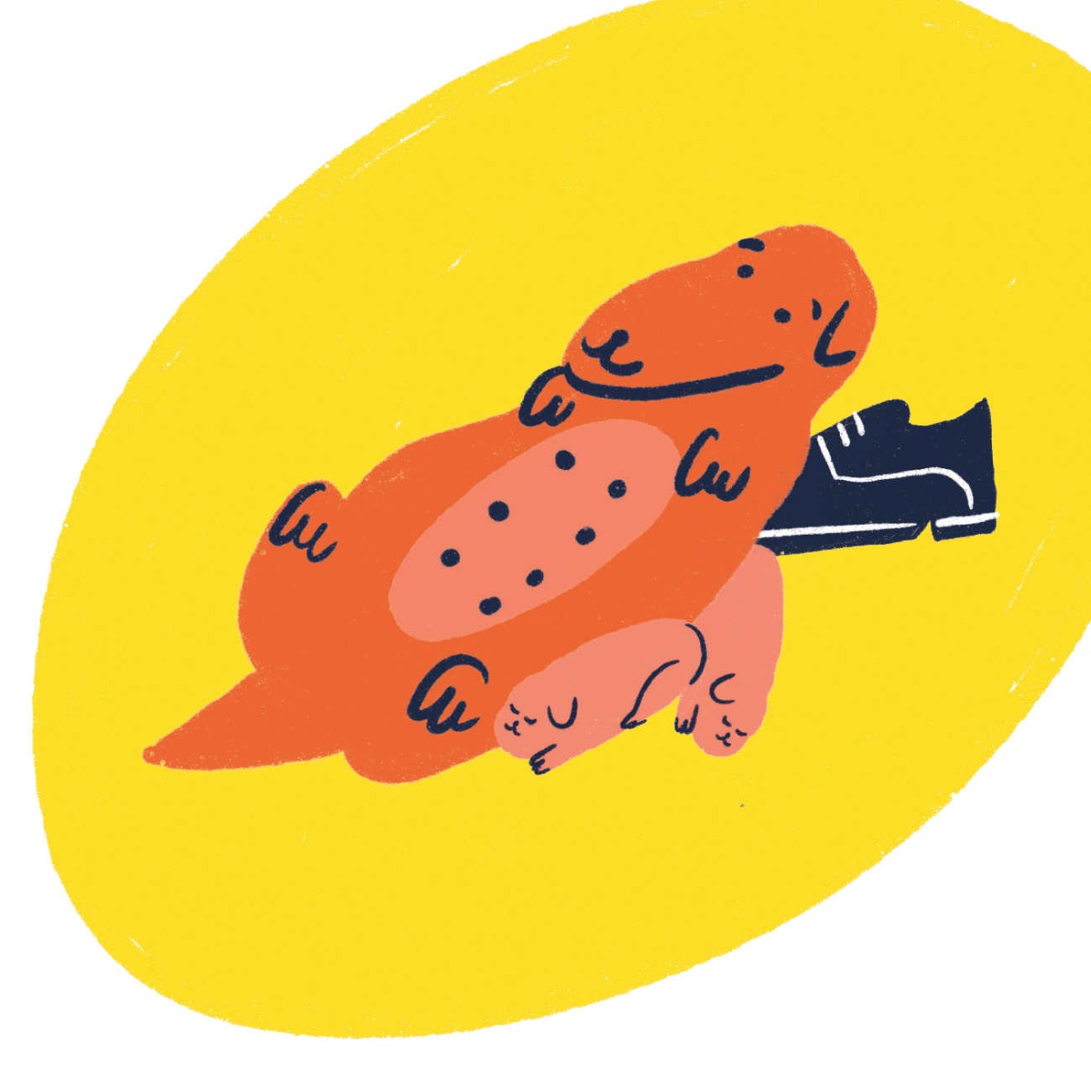 Truyện thai giáo tiếng Anh (Thai giáo ngoại ngữ): Who Took My Shoe?