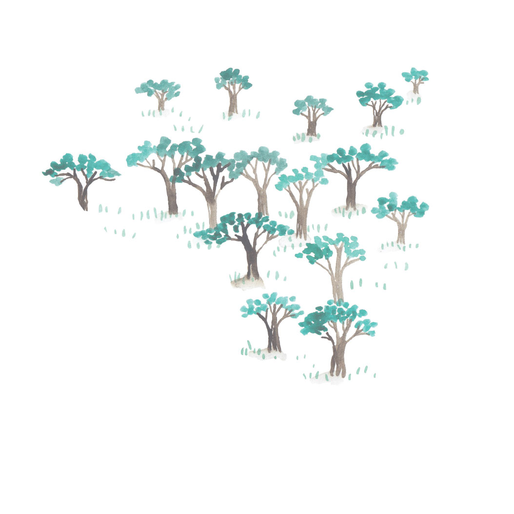 Truyện thai giáo tiếng Anh (Thai giáo ngoại ngữ): A Tiny Seed