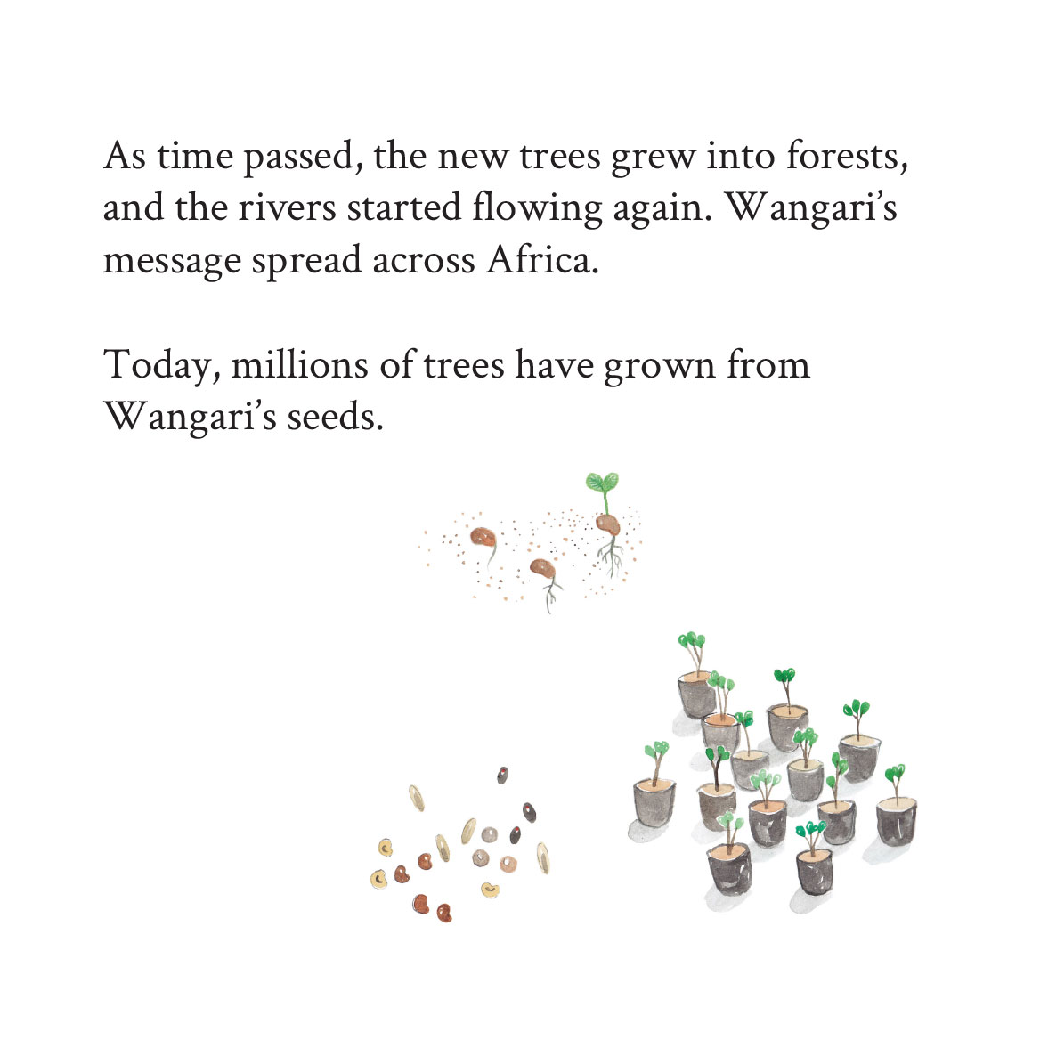 Truyện thai giáo tiếng Anh (Thai giáo ngoại ngữ): A Tiny Seed