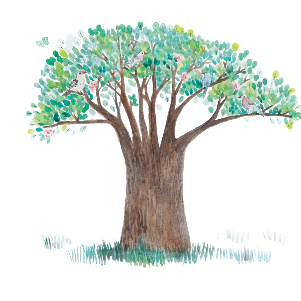 Truyện thai giáo tiếng Anh (Thai giáo ngoại ngữ): A Tiny Seed