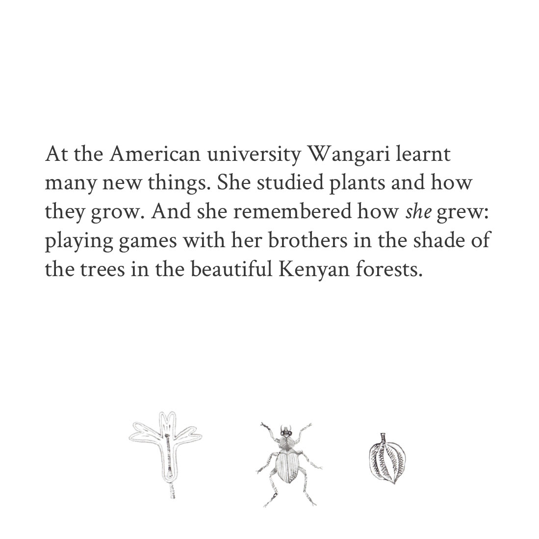 Truyện thai giáo tiếng Anh (Thai giáo ngoại ngữ): A Tiny Seed