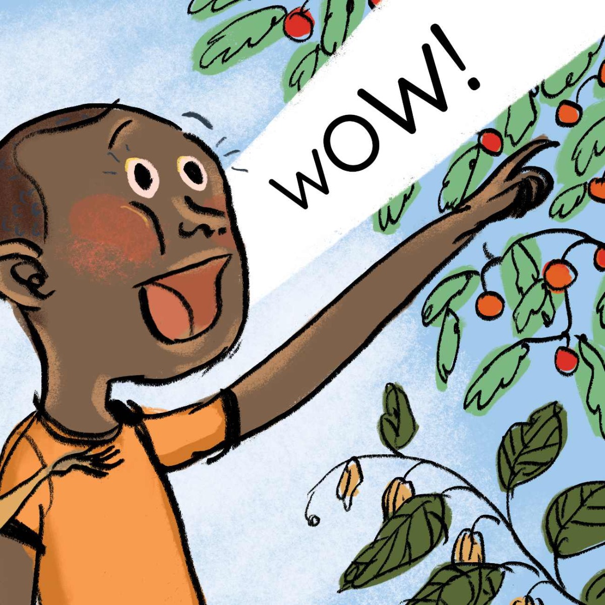 Truyện thai giáo tiếng Anh (Thai giáo ngoại ngữ): Meerkat Magic