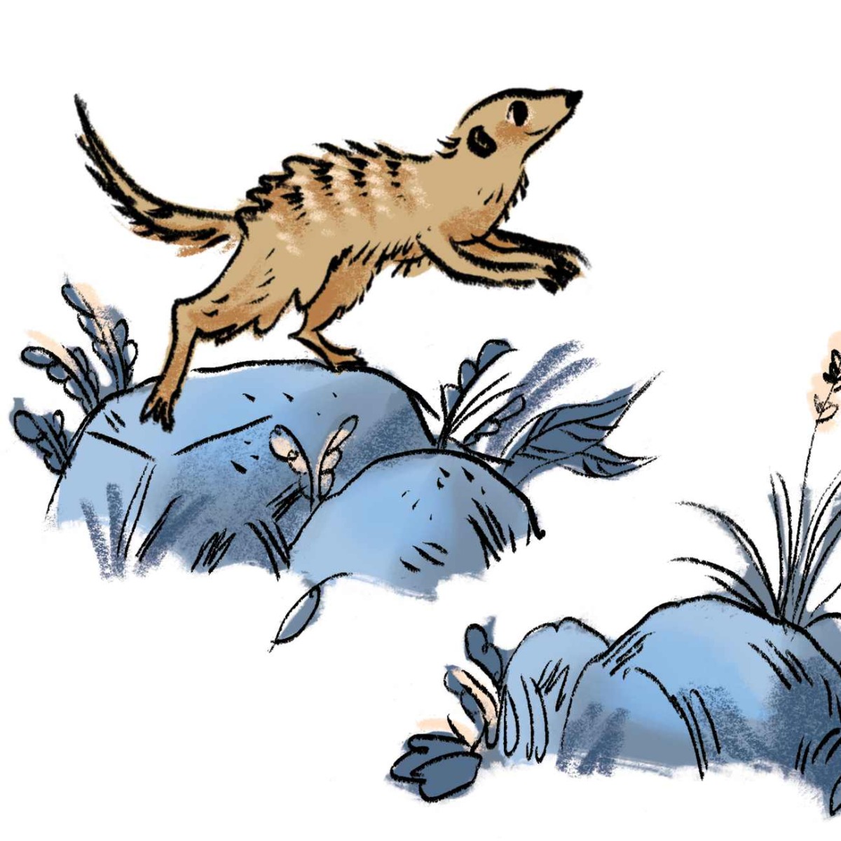 Truyện thai giáo tiếng Anh (Thai giáo ngoại ngữ): Meerkat Magic