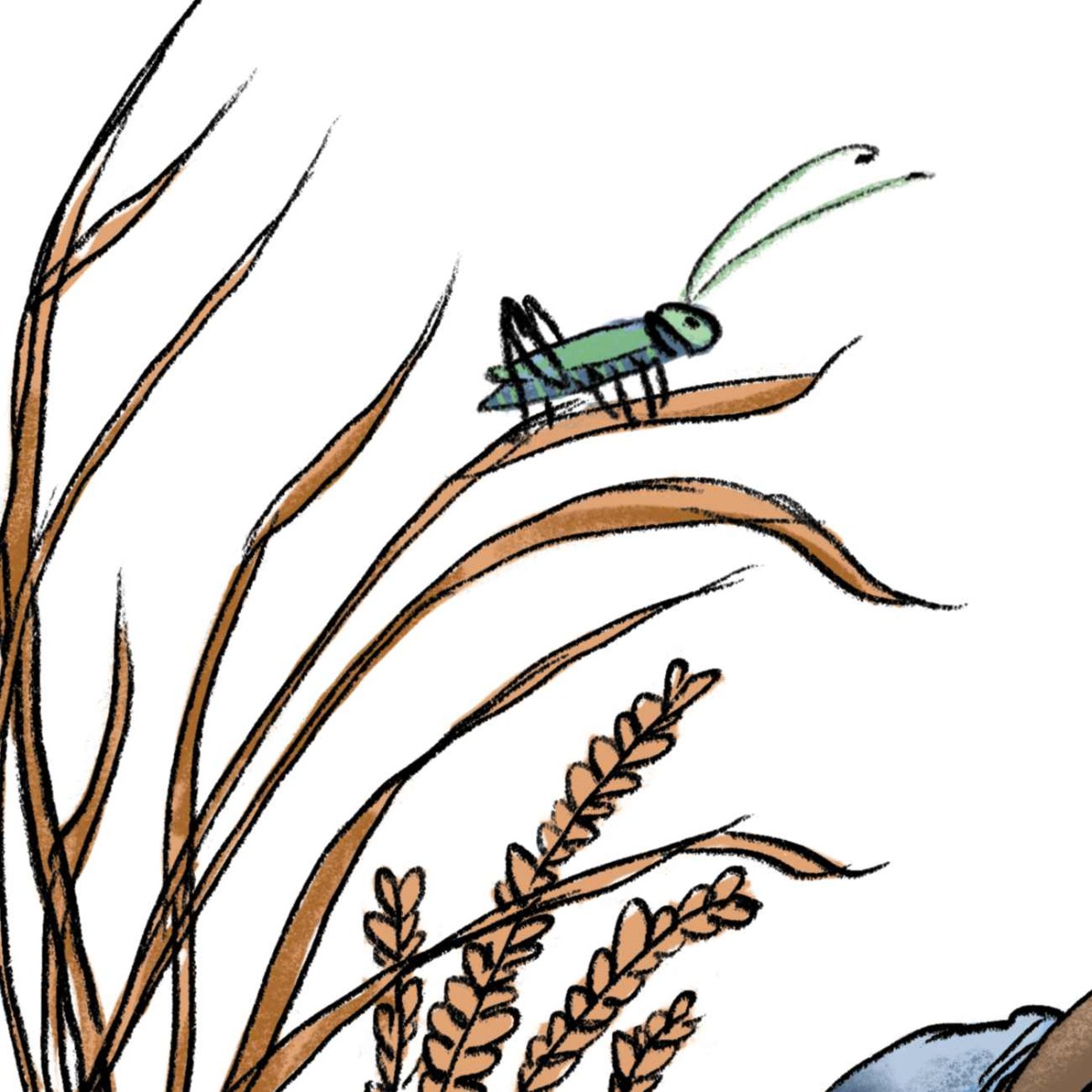 Truyện thai giáo tiếng Anh (Thai giáo ngoại ngữ): Meerkat Magic