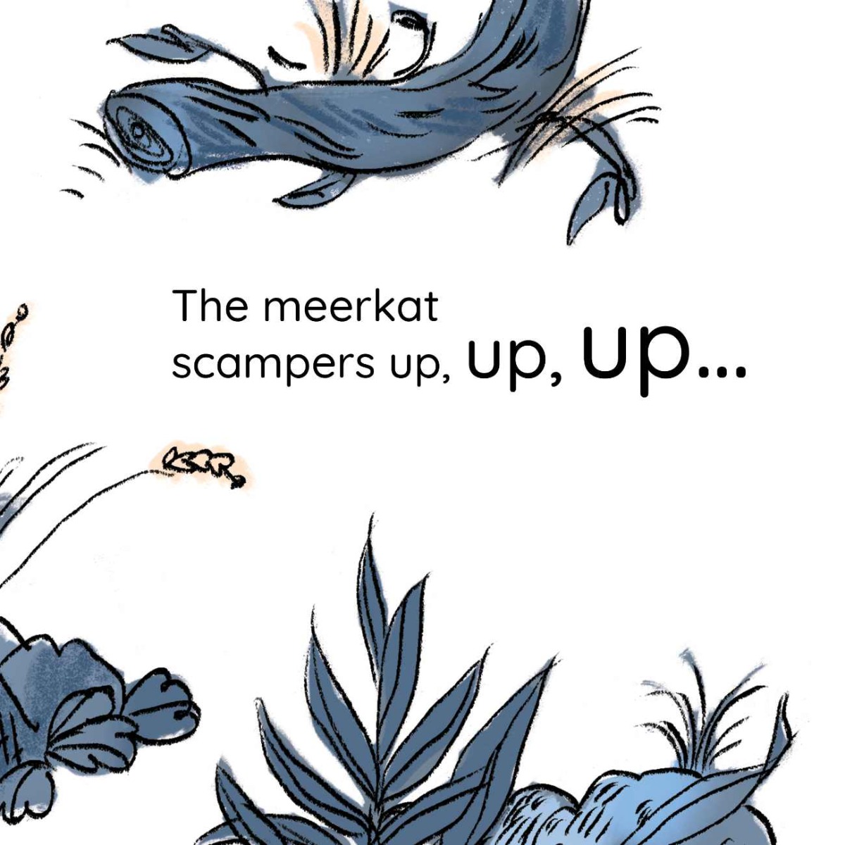 Truyện thai giáo tiếng Anh (Thai giáo ngoại ngữ): Meerkat Magic