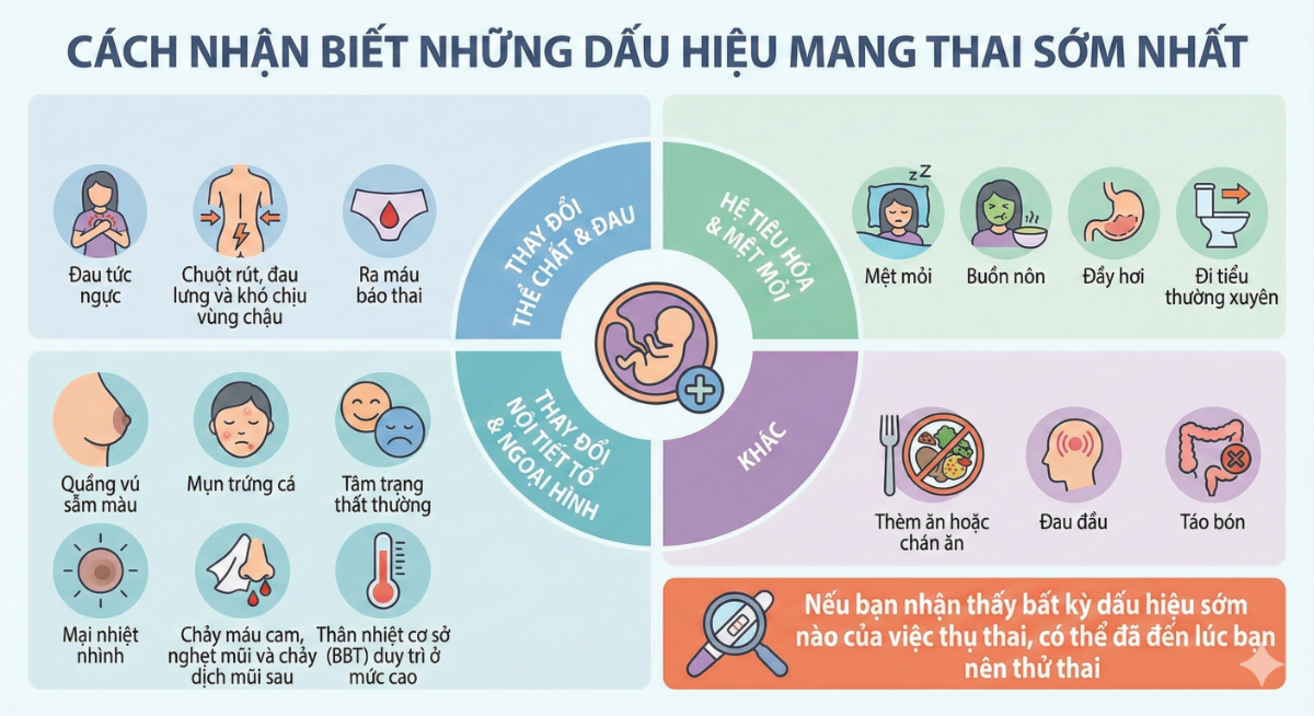 Cách Nhận Biết Những Dấu Hiệu Mang Thai Sớm Nhất